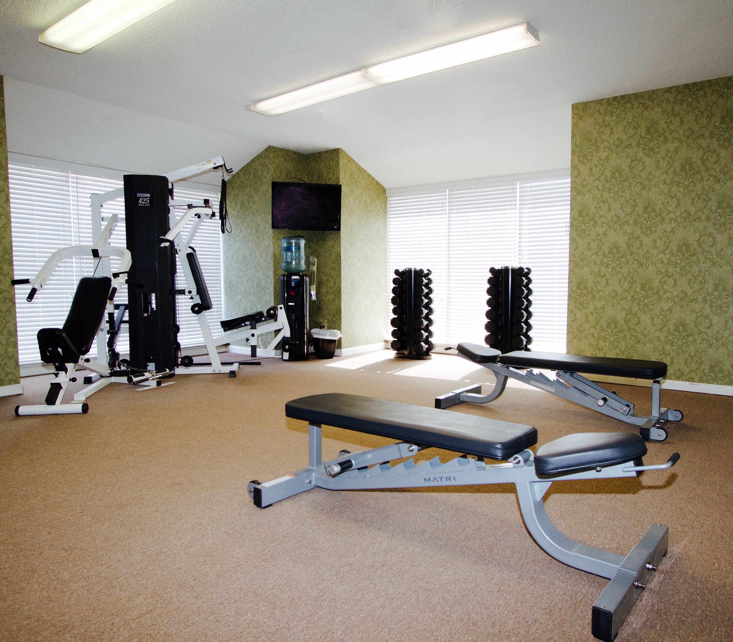 Shoreline Apartments